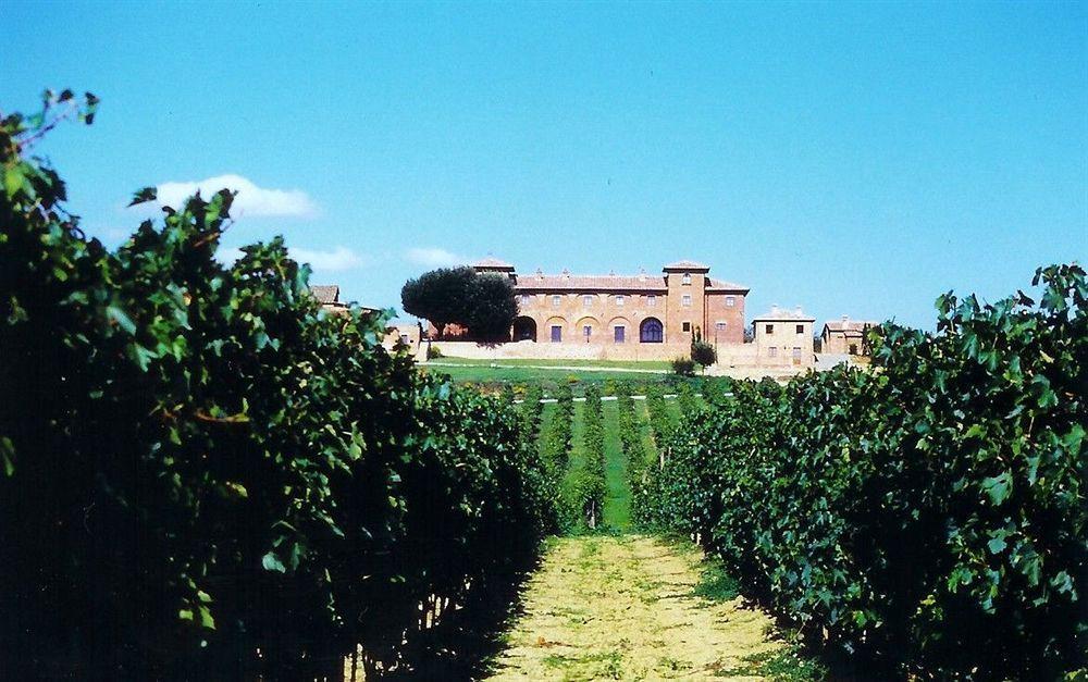 Agriturismo Terra Rossa Valiano Bagian luar foto