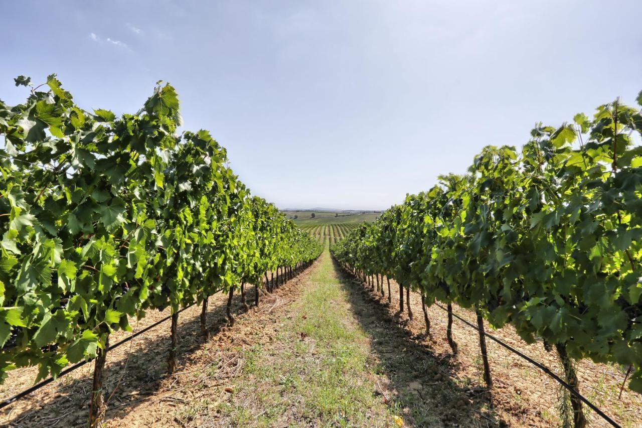 Agriturismo Terra Rossa Valiano Bagian luar foto